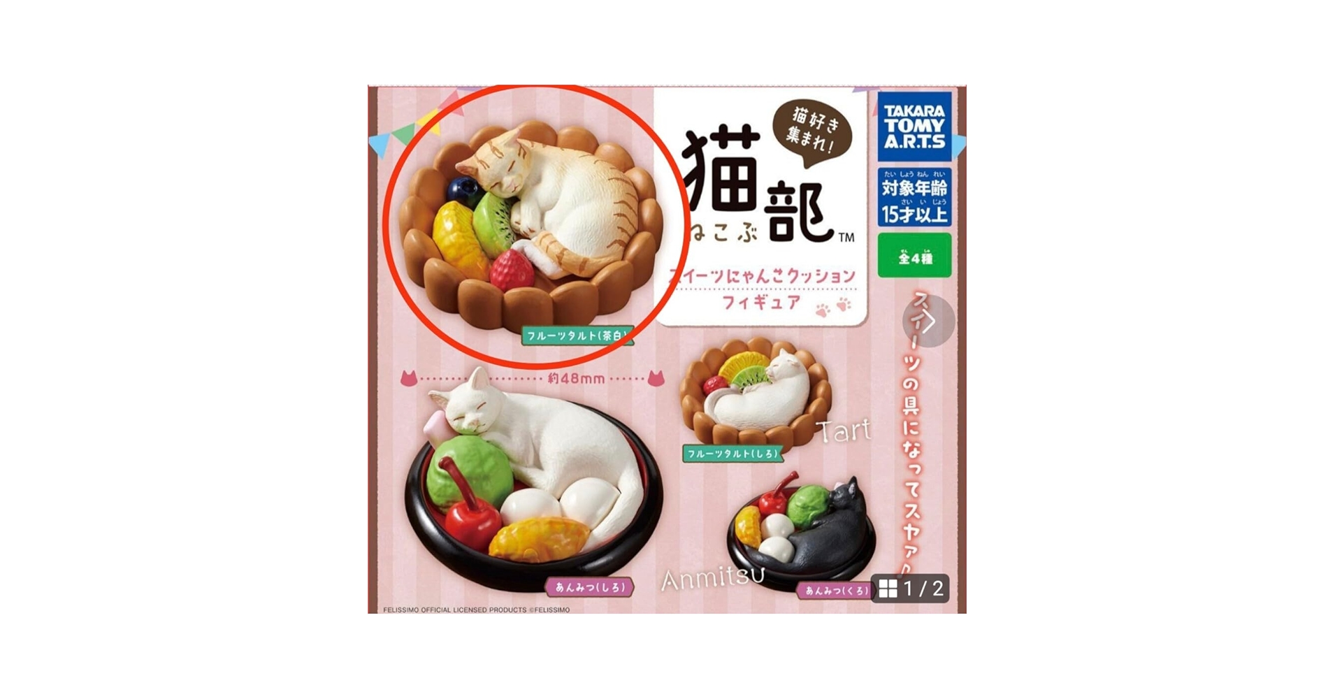 71J+9+4I8AL.jpg_BO30,255,255,